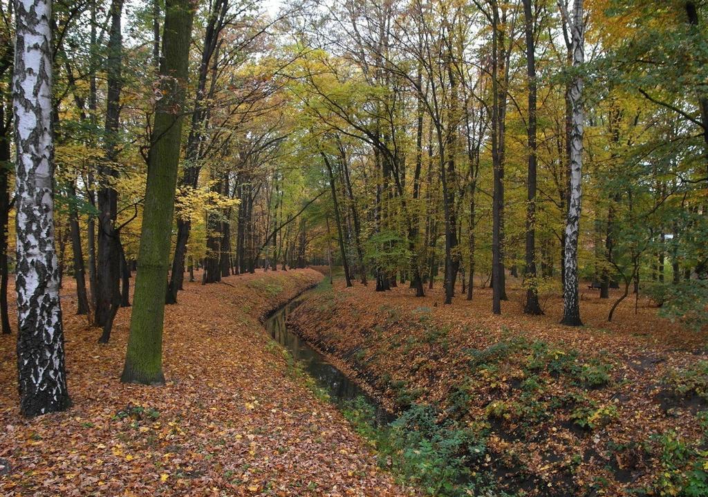 Pensjonat Rezydencja Parkowa Breslávia Exterior foto