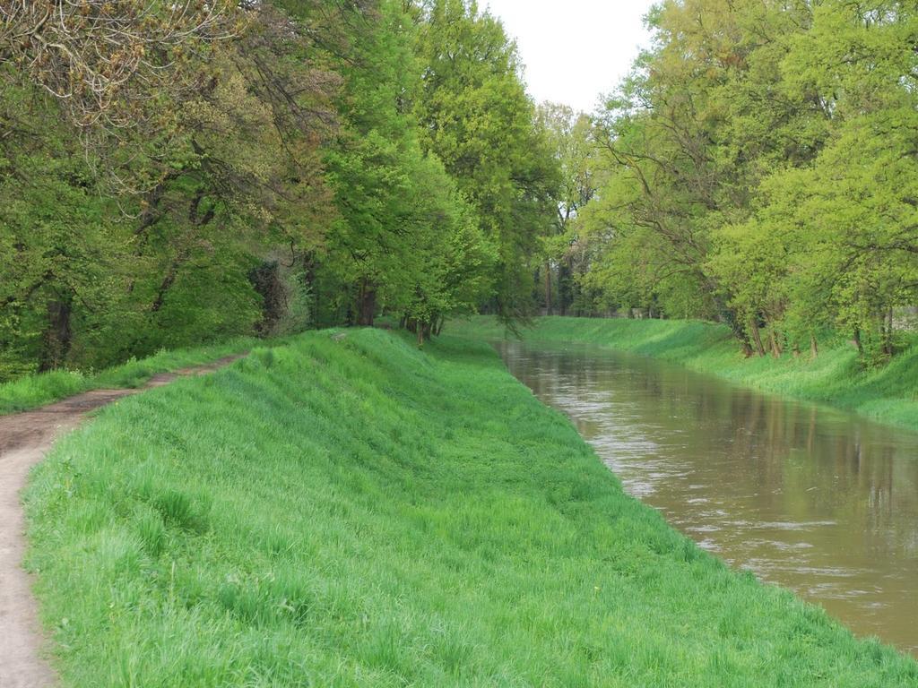 Pensjonat Rezydencja Parkowa Breslávia Exterior foto